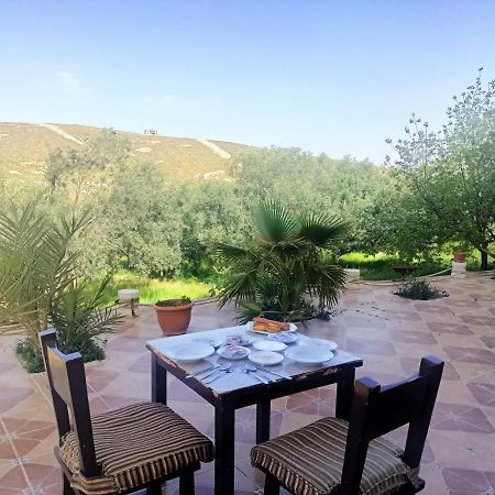 Farmer Stay Hostel Wadi Musa Esterno foto